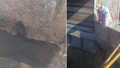 Fallido rescate de perro en San Cristóbal