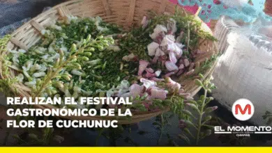Realizan el Festival gastronómico de la flor de cuchunuc