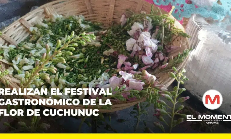 Realizan el Festival gastronómico de la flor de cuchunuc