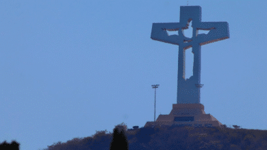 Realizarán autocinema para celebrar el amor