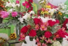 Se encarecen flores por heladas