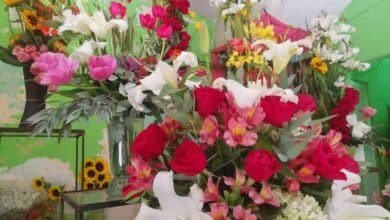 Se encarecen flores por heladas