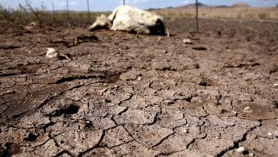 Sequía histórica amenaza al campo