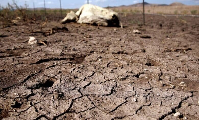 Sequía histórica amenaza al campo