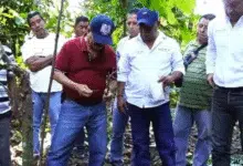 Tapachula alista campaña de reforestación intensiva en la zona alta