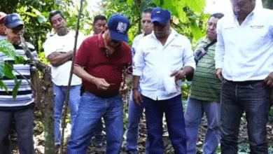 Tapachula alista campaña de reforestación intensiva en la zona alta