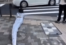 Therian serpiente causa polémica en Japón