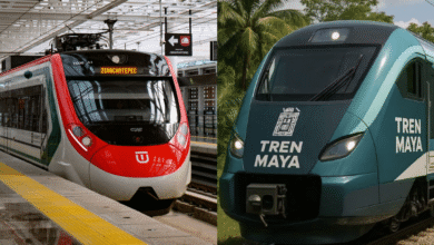 Tren Maya y Tren Interurbano consolidan alianza estratégica por la movilidad nacional (Fotos de internet)