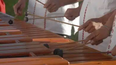 Viernes de Marimba llenará de música el Centro Cultural Rosario Castellanos