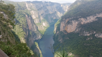 Cañón del Sumidero, joya natural y orgullo turístico