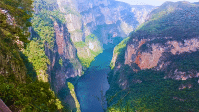 Cañón del Sumidero, joya natural y orgullo turístico