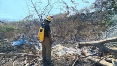 Chiapas, sexto lugar nacional por número de incendios forestales. Imagen: Bomberos de Tuxtla.