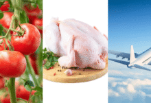 Inflación en México se deja ver en el precio del pollo, vuelos y tomate (Imágenes de internet)