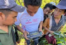 Hallazgo de pertenencias y ampliación de rastreos en el caso de Juliana López