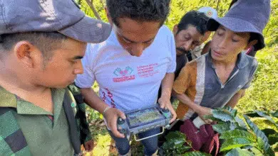 Hallazgo de pertenencias y ampliación de rastreos en el caso de Juliana López