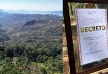 Nace una nueva Área Natural Protegida en Chiapas El Bosque del Quetzal, en Coapilla. Foto: cortesía Semahn.