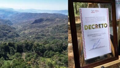 Nace una nueva Área Natural Protegida en Chiapas El Bosque del Quetzal, en Coapilla. Foto: cortesía Semahn.