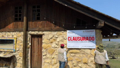 PROFEPA clausura fraccionamiento irregular