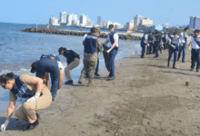 Grupo Interinstitucional garantiza el control de la contaminación por hidrocarburos en el Golfo de México; reporta playas limpias en el litoral
