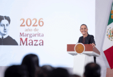 Sheinbaum destaca reducción de 44% en homicidios dolosos a nivel nacional