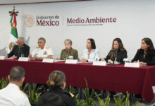 Derrame de petróleo no afectó playas, flora ni fauna