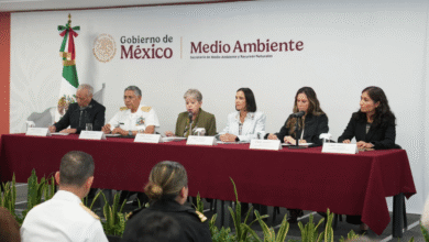 Derrame de petróleo no afectó playas, flora ni fauna