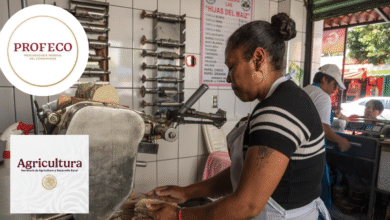 AGRICULTURA y PROFECO descartan alzas al precio de la tortilla y llaman a no atender versiones falsas sobre costos del maíz y la harina