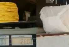 Autoridades descartan alza en el precio de la tortilla en Chiapas