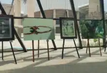 Chiapas, uno de los estados con mayor diversidad avifaunística de México