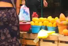 Chiapas, uno de los principales exportadores de mango hacia los EEUU