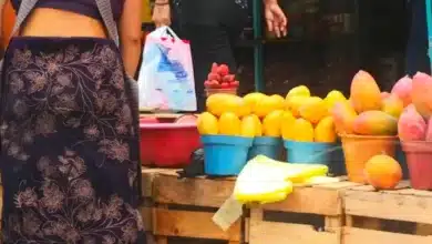 Chiapas, uno de los principales exportadores de mango hacia los EEUU