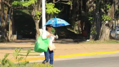 Clima en Chiapas hoy 10 de abril Altas temperaturas y fuertes vientos