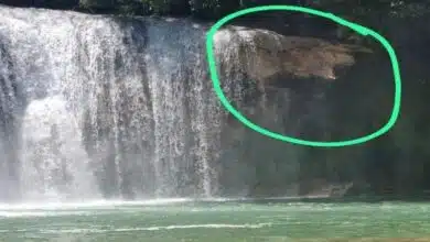 Colapsa parte de las Cascadas de Agua Azul