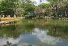 Declaran al Parque Joyvo Mayu Área Natural Protegida