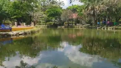 Declaran al Parque Joyvo Mayu Área Natural Protegida