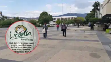 Leche para el bienestar fortalece la nutrición de familias chiapanecas (Foto de cortesía)