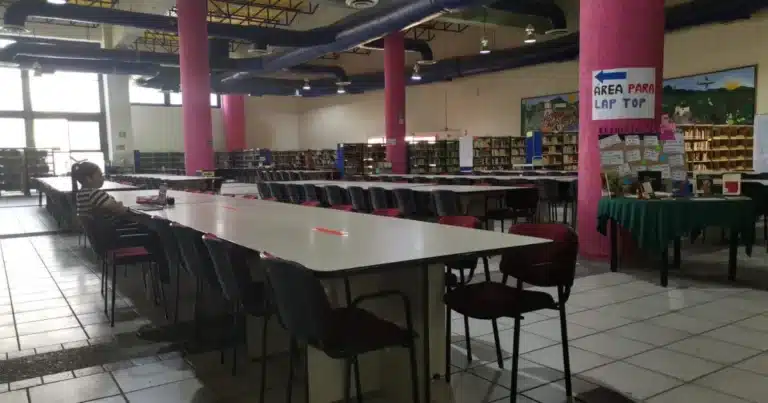 La era digital y el declive del hábito lector en Chiapas (Foto de Nayeli Mijangos)