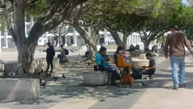 Gobierno Federal impulsa programas para combatir pobreza laboral en Chiapas