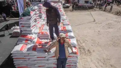 Hasta 350 mil productores beneficiados con el Programa de Fertilizantes para el Bienestar