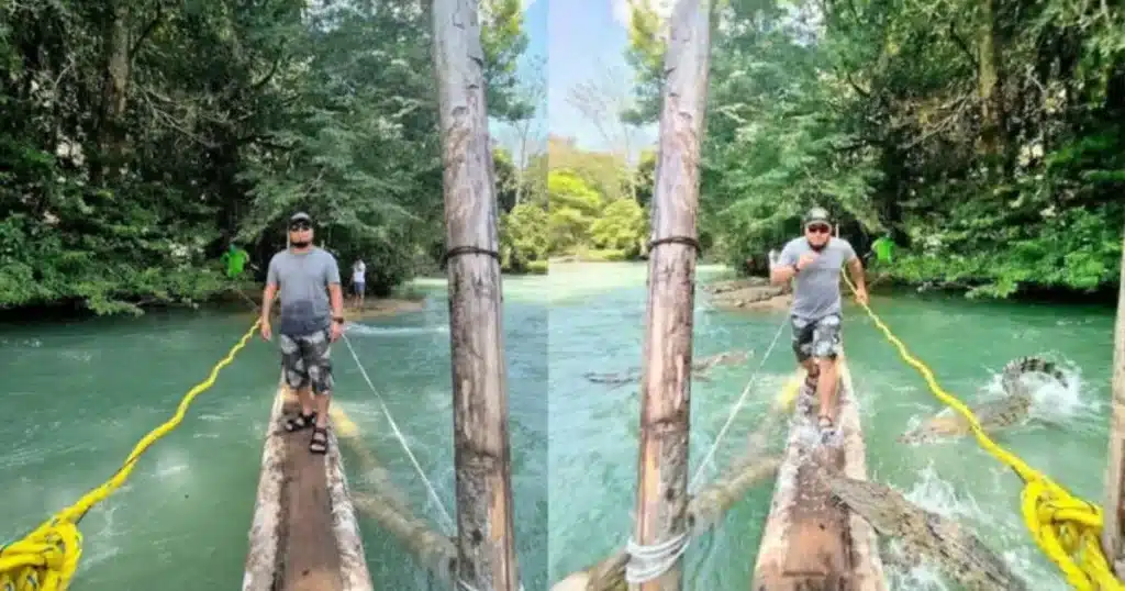 influencer en chiapas multado por falso video de ataque de cocodrilo (2)