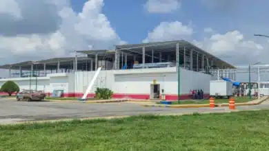 Planta contra el gusano barrenador en Chiapas registra 75% de avance