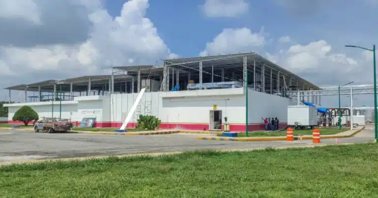 Planta contra el gusano barrenador en Chiapas registra 75% de avance