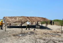 profepa y conanp retiran 15 palapas irregulares en la reserva de la biosfera la encrucijada, chiapas