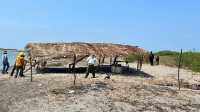 profepa y conanp retiran 15 palapas irregulares en la reserva de la biosfera la encrucijada, chiapas