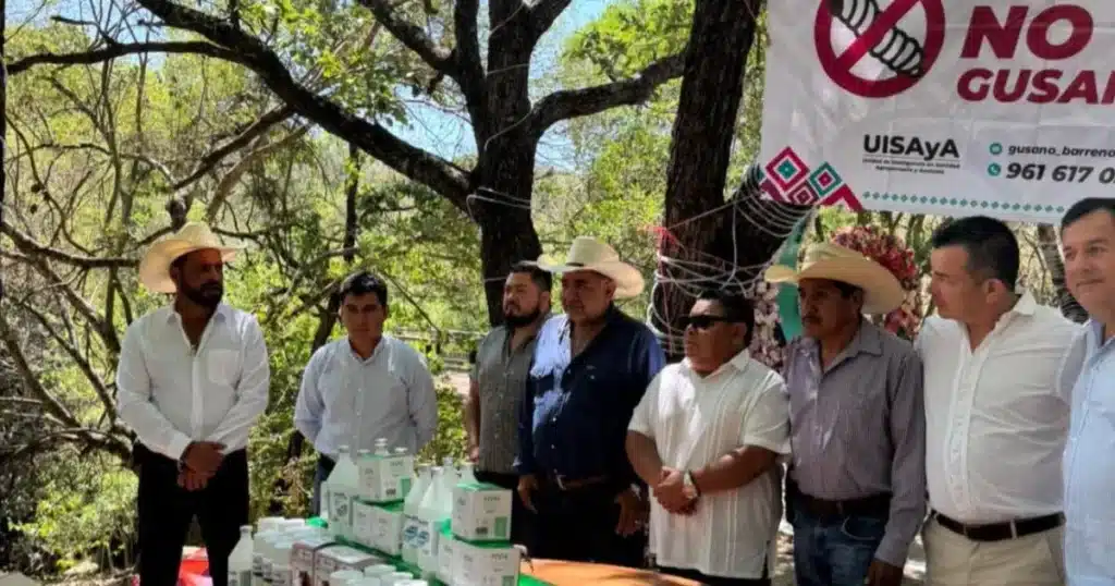 refuerzan blindaje sanitario en la frontera sur en comitán e inician entrega de paquetes contra el gusano barrenador (1)