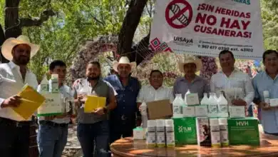 Refuerzan blindaje sanitario en la frontera sur en Comitán e inician entrega de paquetes contra el gusano barrenador