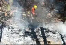 refuerzan vigilancia por temporada de estiaje en san cristóbal tras atender quema en rancho viejo