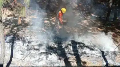 refuerzan vigilancia por temporada de estiaje en san cristóbal tras atender quema en rancho viejo