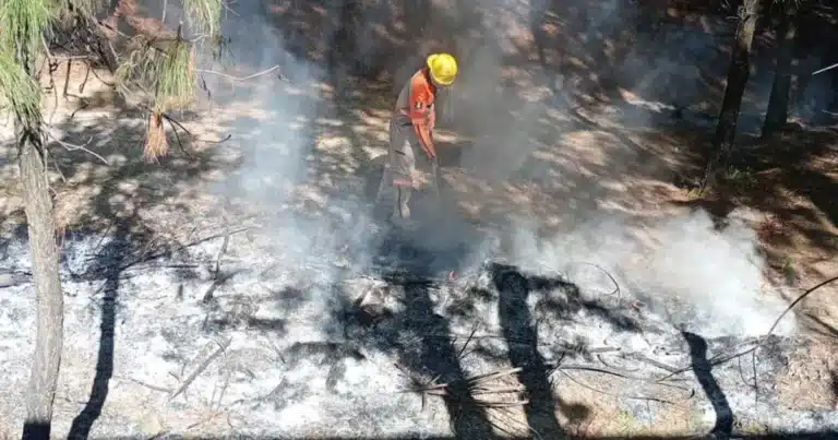 refuerzan vigilancia por temporada de estiaje en san cristóbal tras atender quema en rancho viejo