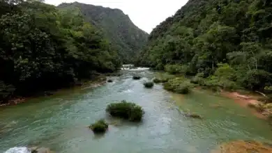 Río Jataté Con gran importancia ambiental y turística en Ocosingo